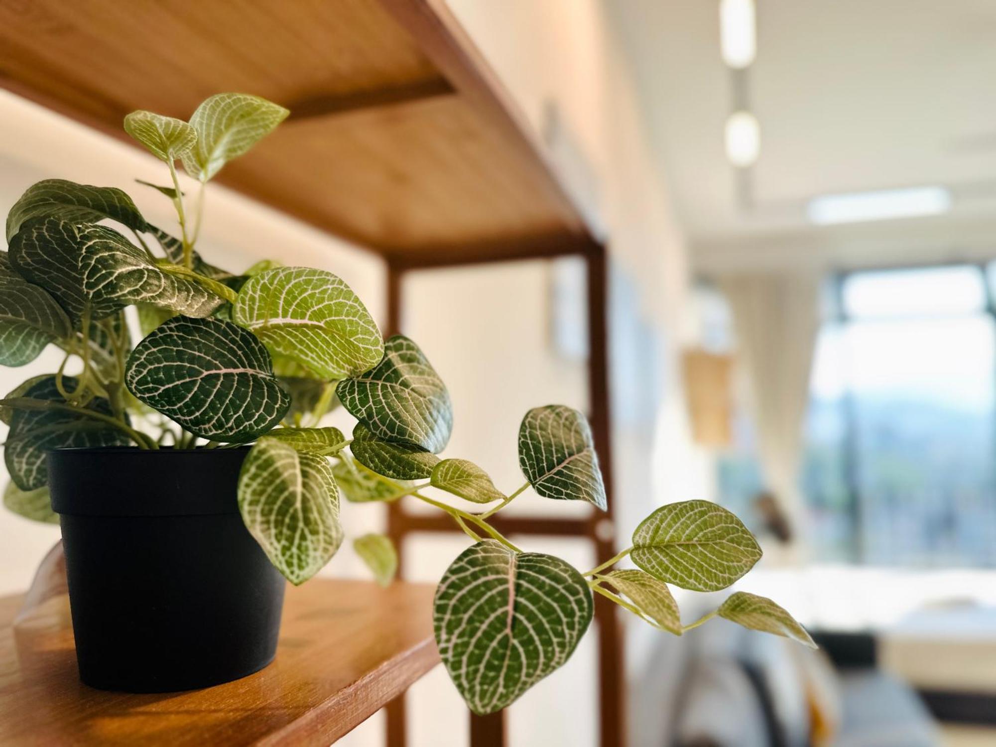 New Georgetown Instagramable 2Br Homestay For 10Pax 无敌美景两房民宿 Beacon Executive Suite Экстерьер фото